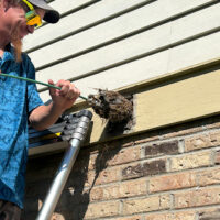 dryer vent cleaning business tech doing work at a customer's house